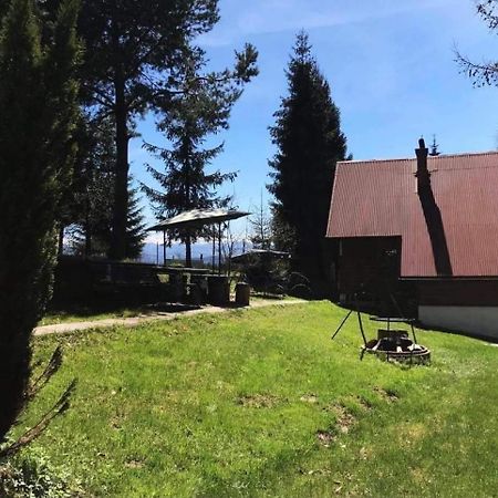 Domek Pod Modrzewiem Nowy Targ Exterior foto